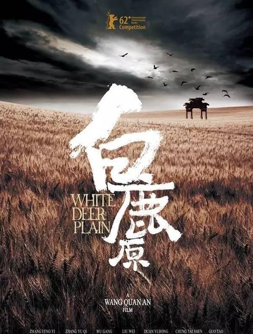 大专学历可以买吗